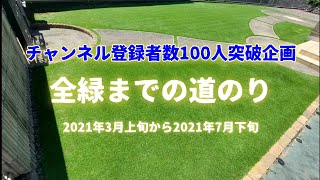 【姫高麗芝生育状況】「全緑までの道のり」上半期ダイジェスト版