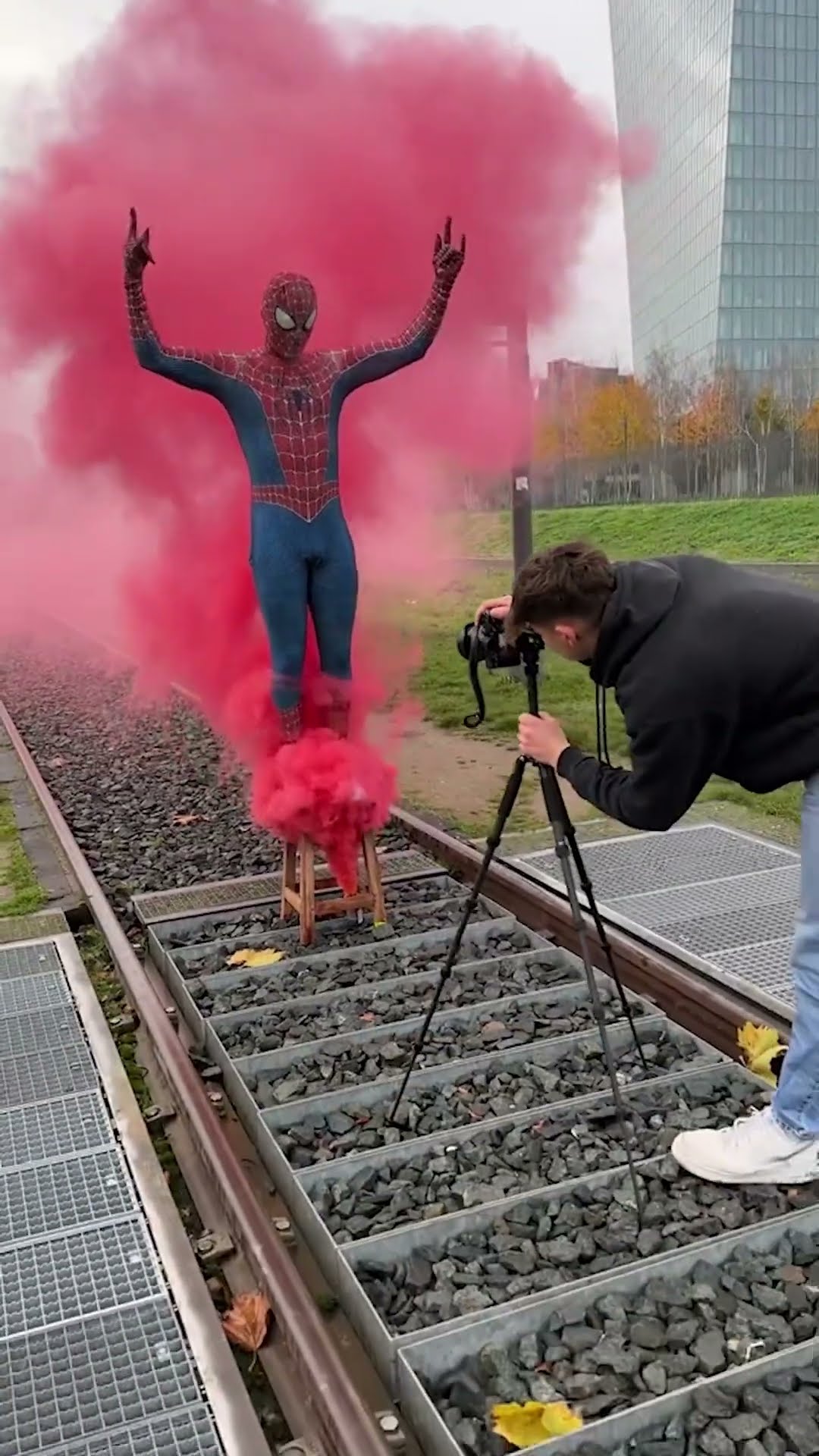 Your friendly neighbourhood spider