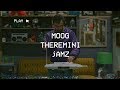 MOOG THEREMINI jAMZ