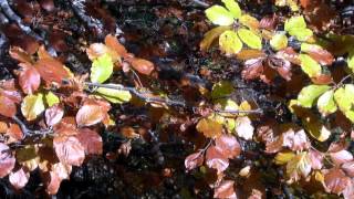 Otoño Valle de Benasque