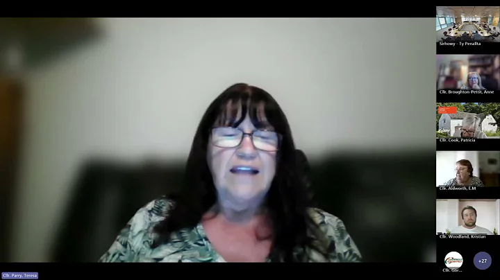 Education and Social Services Scrutiny Committee -  15th July 2025