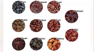【Dates Packing Machine】High-speed Automatic Ajwa/Anbarah-Dates
