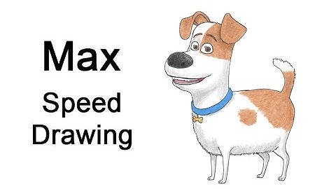 Max (The Secret Life of Pets) Time-Lapse / Speed Drawing