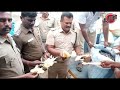 இலங்கைக்கு கடத்துவதற்காக ராமநாதபுரம் அருகே பதுக்கப்பட்டிருந்த 50 கோடி ரூபாய் மதிப்புள்ள கடல் அட்டை,