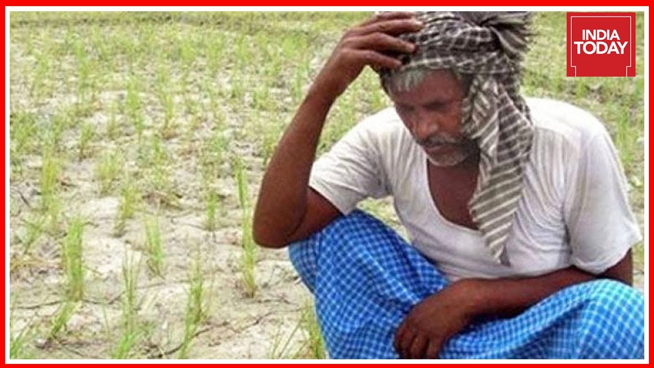 How Tamil Nadu's Drought Is Choking Farmers - YouTube