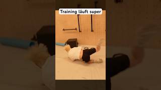Thumbnail for Papaplattes Training mit Rewi läuft super #papaplatte