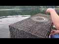 Fish Trapping in Amston Lake plus mini tour.