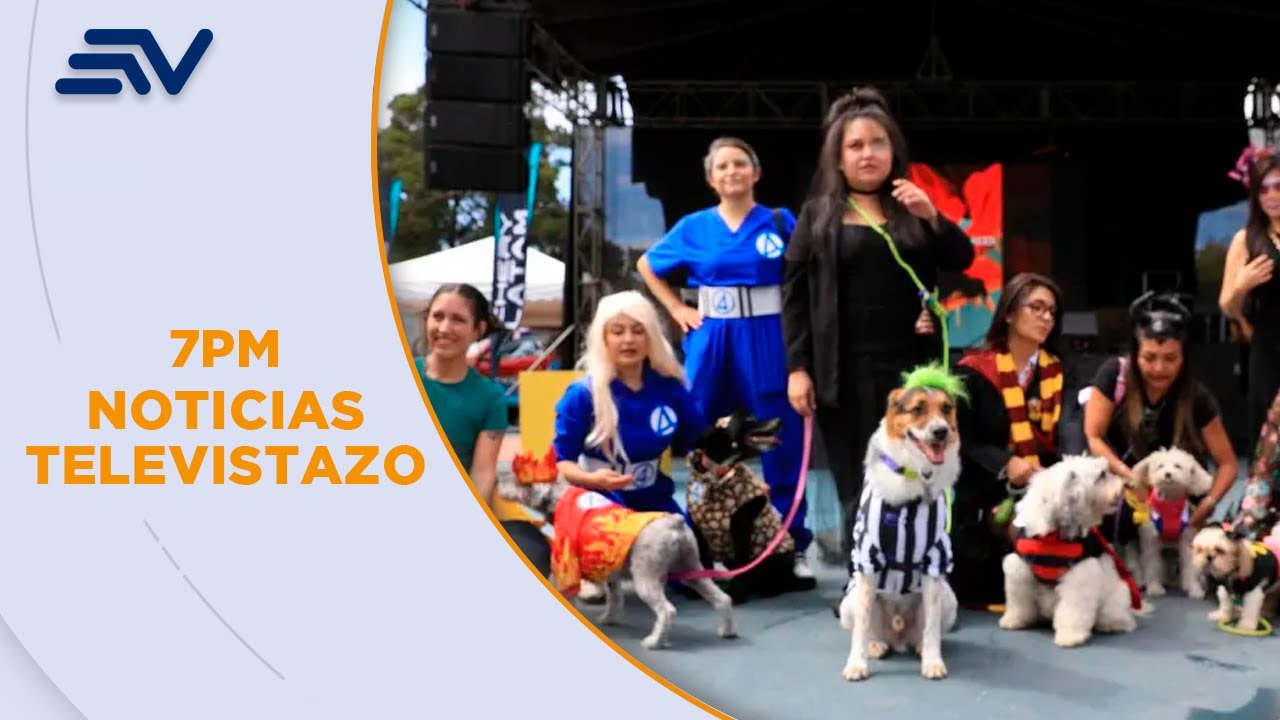 Concursos de disfraces de mascotas para Halloween se realizó en Samborondón y Quito | Televistazo