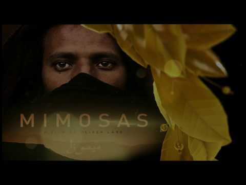       الهرم الذهبي لأحسن فيلم