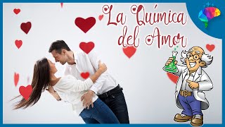 La Química Del Amor No Te Enamoras Tú, Sino Tus Hormonas