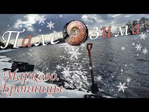 Палеозима в Марково. Поиск аммонитов Amoeboceras и других окаменелостей. Оксфордский ярус.