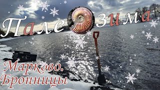 Палеозима в Марково. Поиск аммонитов Amoeboceras и других окаменелостей. Оксфордский ярус.