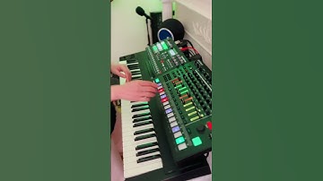 Gamma Vibes - Funky House beats Live jamming with a kitten 💕🐈