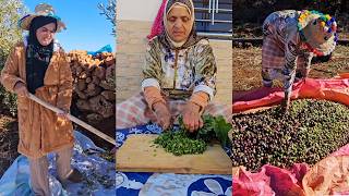 لأول مرة… عائشة كتجني الزيتون مع عكوزتها 😲