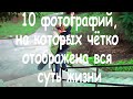 10 фотографий, на которых чётко отображена вся суть жизни