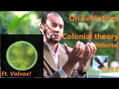 On Evolution 8