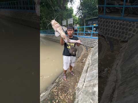 Mancing Dapat Ikan