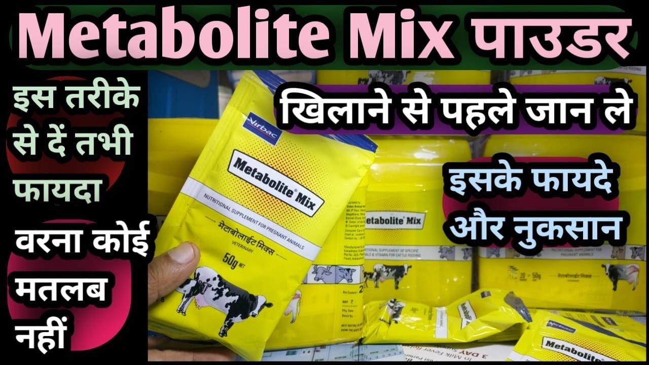 Metabolite MiX पाउडर खिलाने से पहले जान ले इसके फायदे 👌और नुकसान😡 इस तरीके से दें तभी फायदा👉