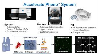 Fast Phenotypic Antibiotic Susceptibility Testing of Positive Blood Cultures