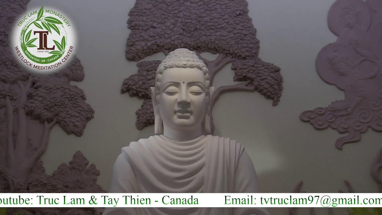 Lễ Hằng Tuần và Pháp Thoại với Thầy Thích Pháp Hoà (10:30am- Nov 27, 2022 – Trúc Lâm) Lễ Hằng Tuần và Pháp Thoại với Thầy Thích Pháp Hoà (10:30am- Nov 27, 2022 – Trúc Lâm)