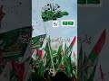 #ekmotahathighumechala