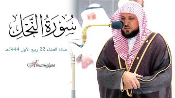 تلاوة إبداعية من الشيخ د. #ماهر_المعيقلي |أوائل سورة النحل| ١ - ١٨ |صلاة العشاء ٢٢ ربيع الأول ١٤٤٤هـ