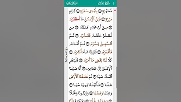 surah Abasa Mohamed Siddik Al Minshawi 80 I سورة عبس