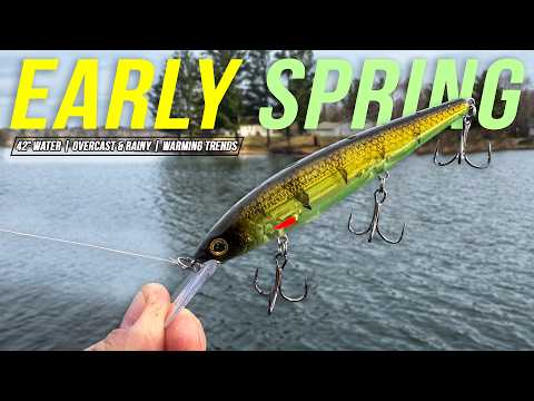 This JERKBAIT Triggers Big Fish (Early Spring Fishing)