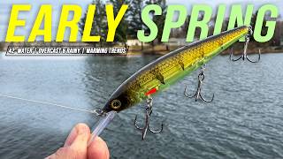 This JERKBAIT Triggers Big Fish (Early Spring Fishing)
