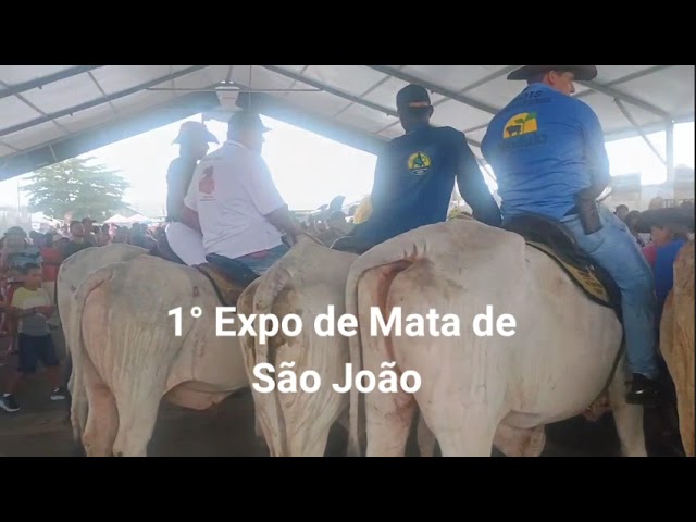 🌟 1ª EXPO DE MATA DE SÃO JOÃO – UM MARCO PARA A CULTURA E O DESENVOLVIMENTO! 🌟
