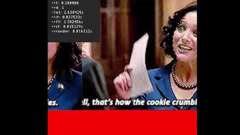 Landmark visualization using dlib