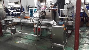12 Head Combination Linear Weigher & Tray Dispenser For Snow Pea
