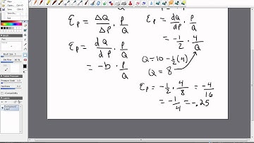 price elasticity of demand (calculus)