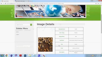 Tag Based Image Search by Social Re ranking