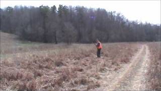 Straight Creek Autumn