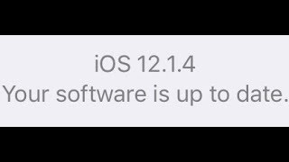 iOS 12.1.4 update on iPhone SE.