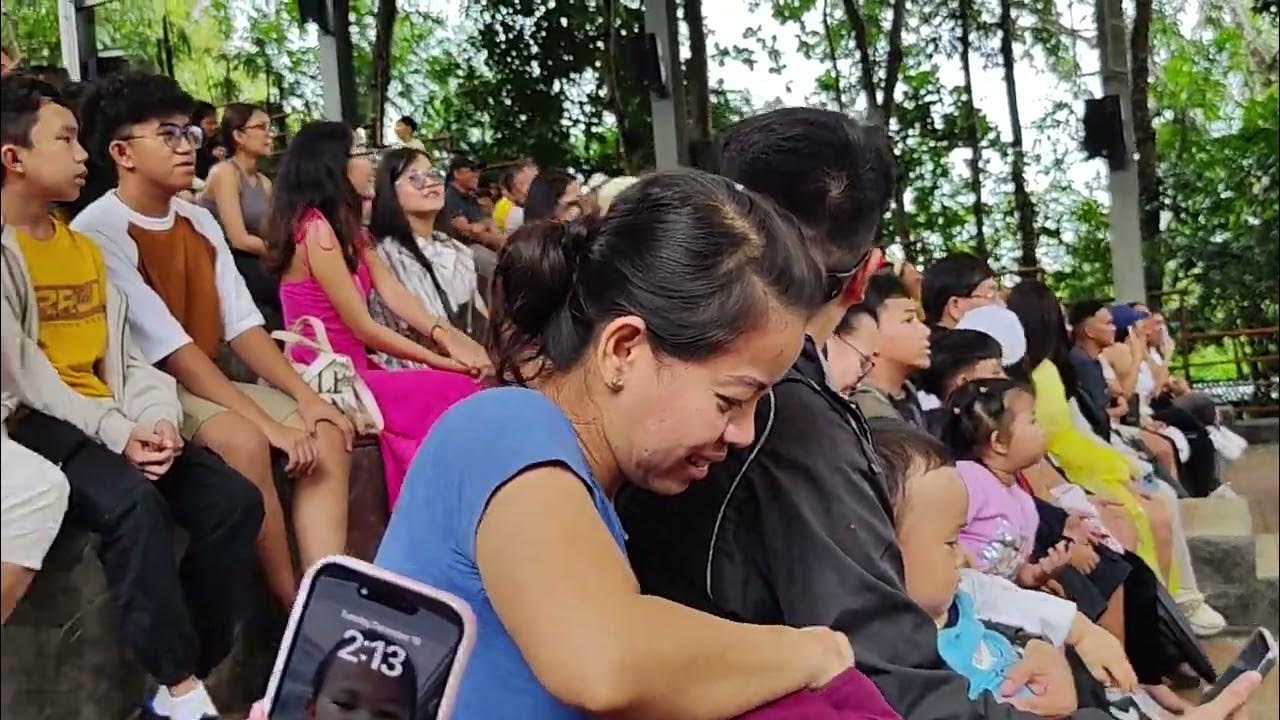 Cebu Safari Bird Show YouTube zoobic-safari-bird-show-youtube