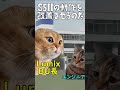 S5IIのバージョン3．1がオシイ#Shorts
