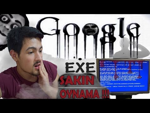 BİLGİSAYARIM ÇÖKTÜ !! (GOOGLE.EXE OYNADIM !!)