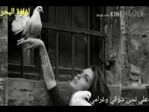 ياطير وصللي سلامي رعد الناصر حالات وتس اب