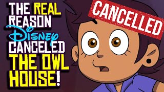 Why The Owl House Was Canceled After Season 3