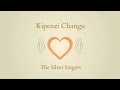 Kipenzi Changu The Silver Singers
