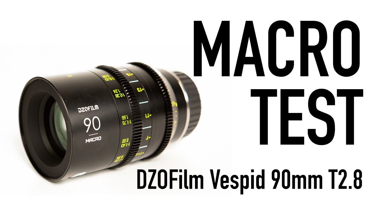 DZOFilm Vespid 90mm T2.8 Macro Lens Test - YouTube
