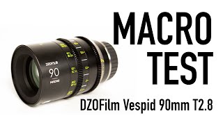 Dzofilm Vespid 90Mm T2.8 Macro Lens Test