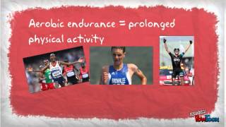 Aerobic Endurance screenshot 2