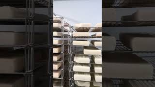 Maturing and grading video resource - Cheese on a rack