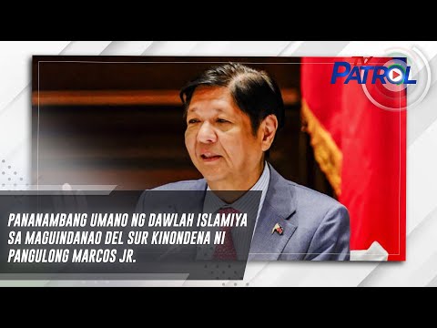 Видео: Pananambang umano ng Dawlah Islamiya sa Maguindanao del Sur kinondena ni Pangulong Marcos Jr.