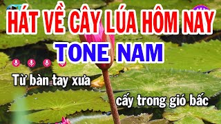 Information Karaoke Hát Về Cây Lúa Hôm Nay Tone Nam ( Fa Thứ ) Nhạc Sống Cha Cha Guide