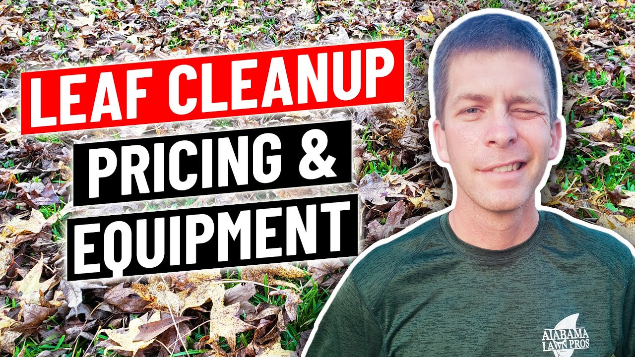 Leaf Clean Up Pricing, Equipment Setup, Pros and Cons (what you need to