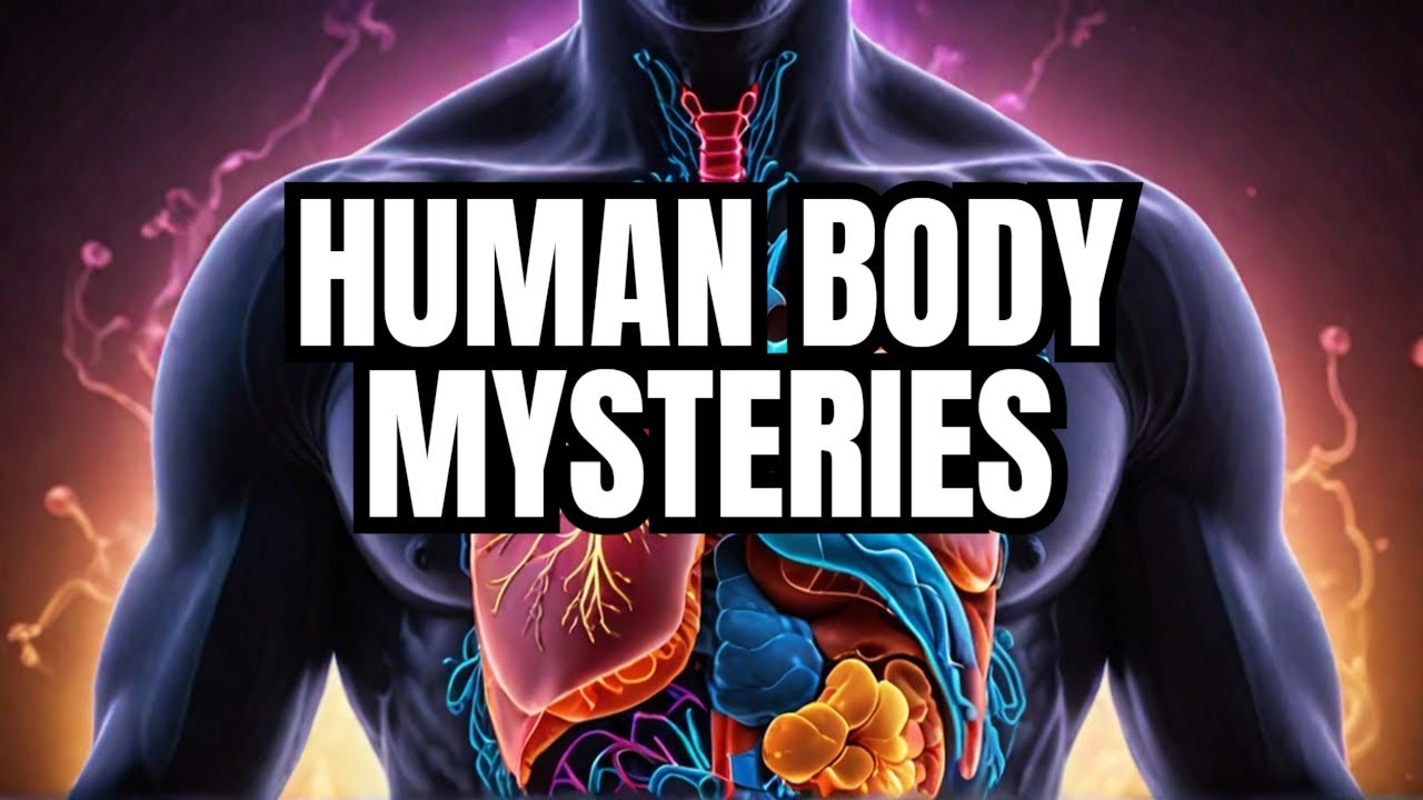 Unlocking the Mysteries of the Human Body YouTube